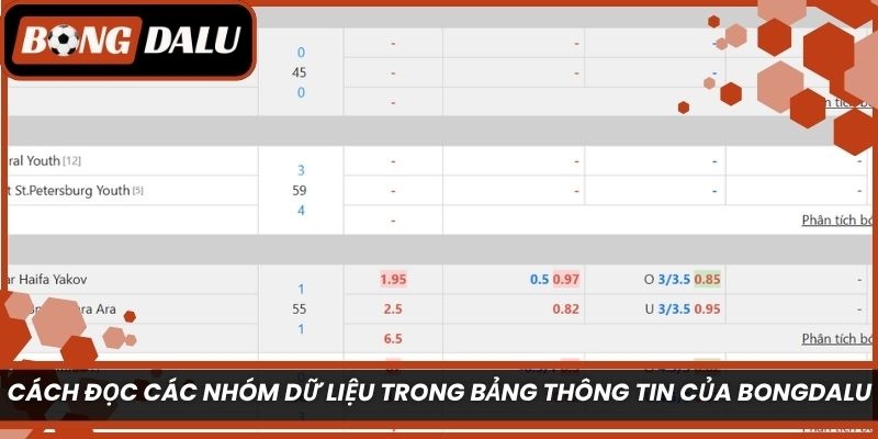 Cách đọc các nhóm dữ liệu trong bảng thông tin của Bongdalu