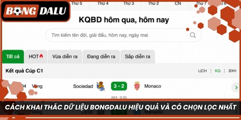 Cách khai thác dữ liệu Bongdalu hiệu quả và có chọn lọc nhất 