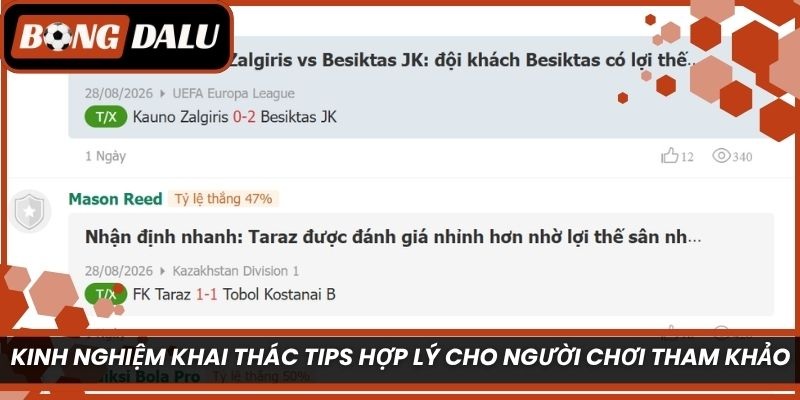 Kinh nghiệm khai thác tips hợp lý cho người chơi tham khảo