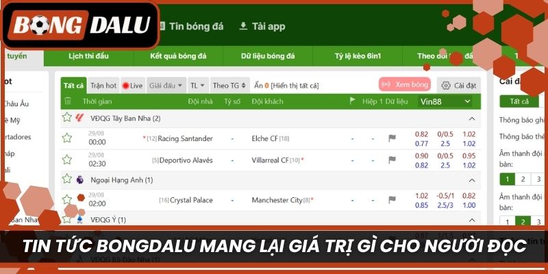 Tin tức Bongdalu mang lại giá trị gì cho người đọc